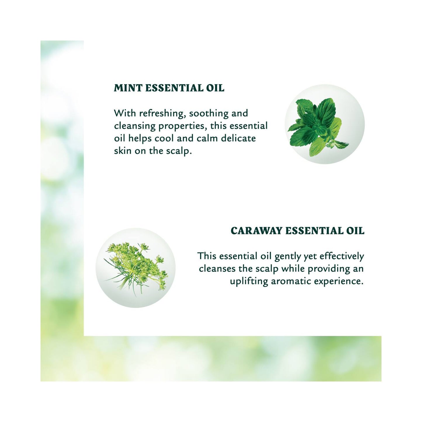 Rene Furterer Naturia Dry Shampoo (150ml)