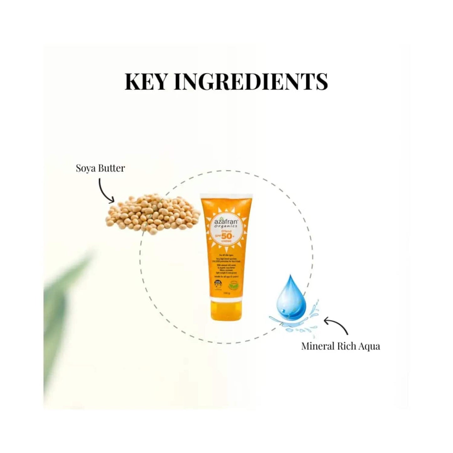 Azafran Organics Dfend SPF 50+ Sunscreen (100g)