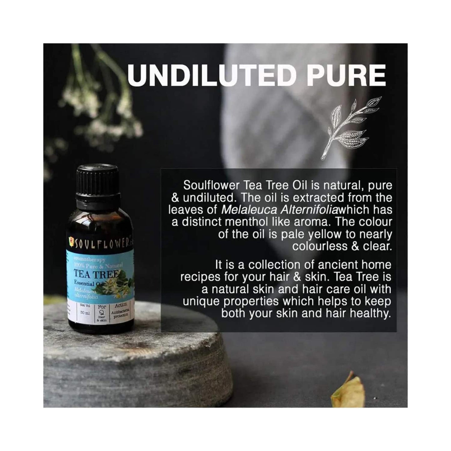 Soulflower Tea tree Essential Oil - (30ml)