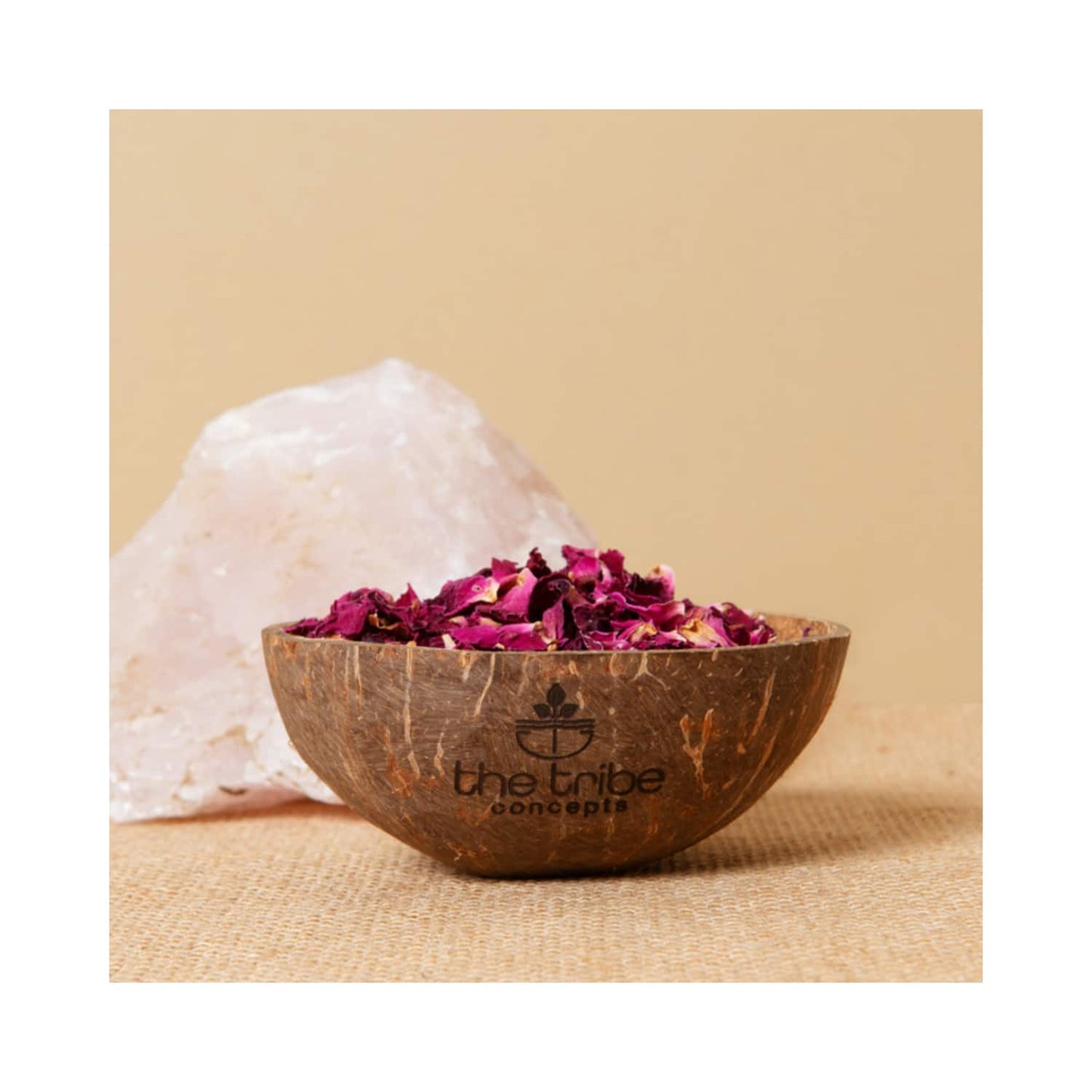 The Tribe Concepts Coconut Bowl