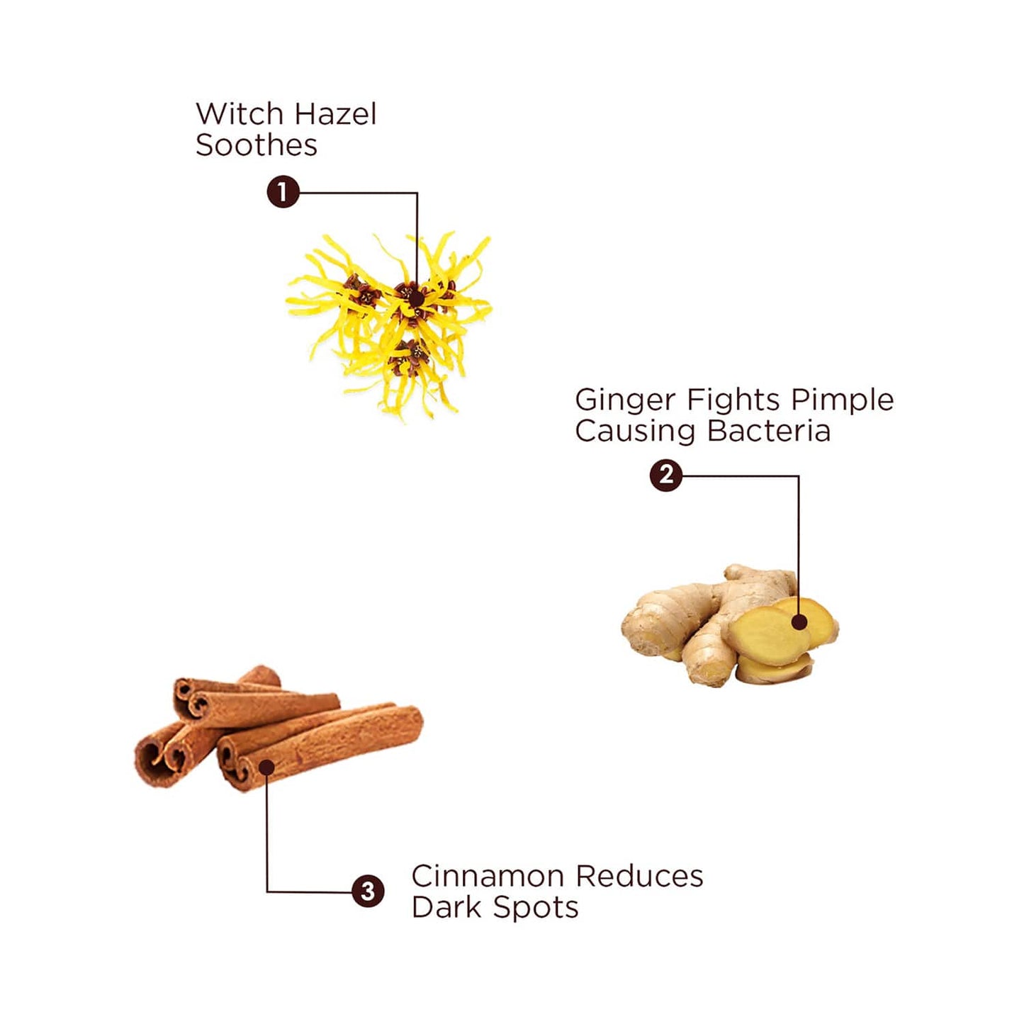 The Skin Story Ginger & Cinnamon Facewash (100ml)