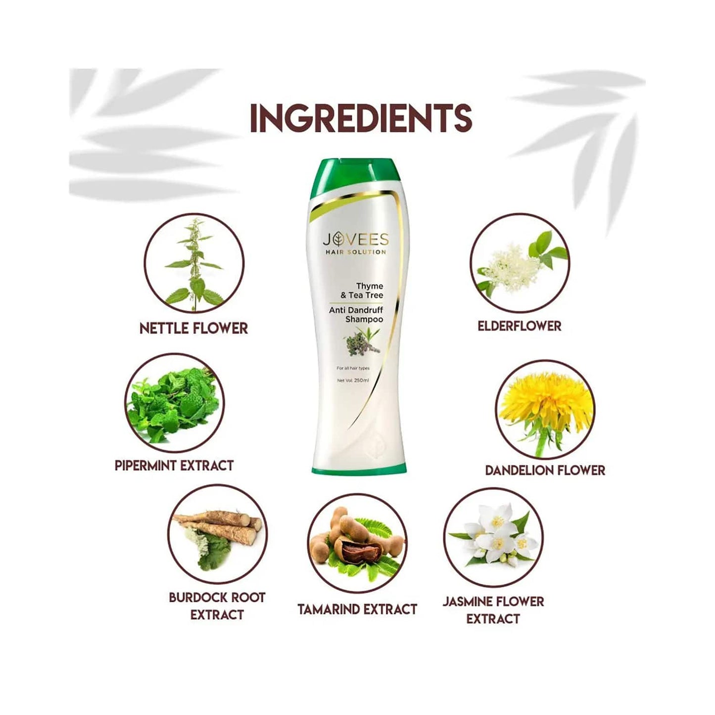 Jovees Thyme & Tea Tree Anti Dandruff Shampoo (250ml)