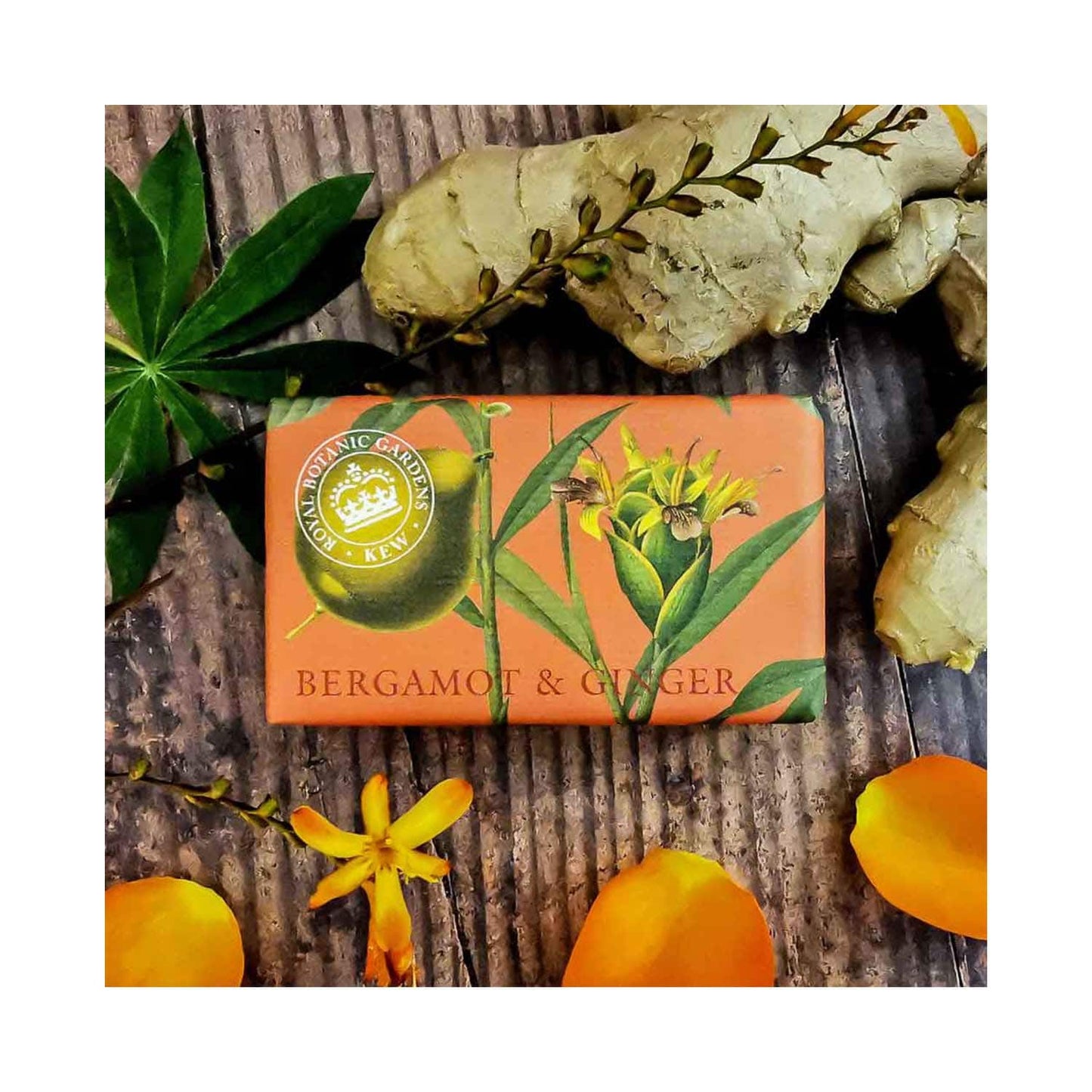 The English Soap Company Royal Botanic Gardens Kew Bergamot & Ginger Soap (240g)