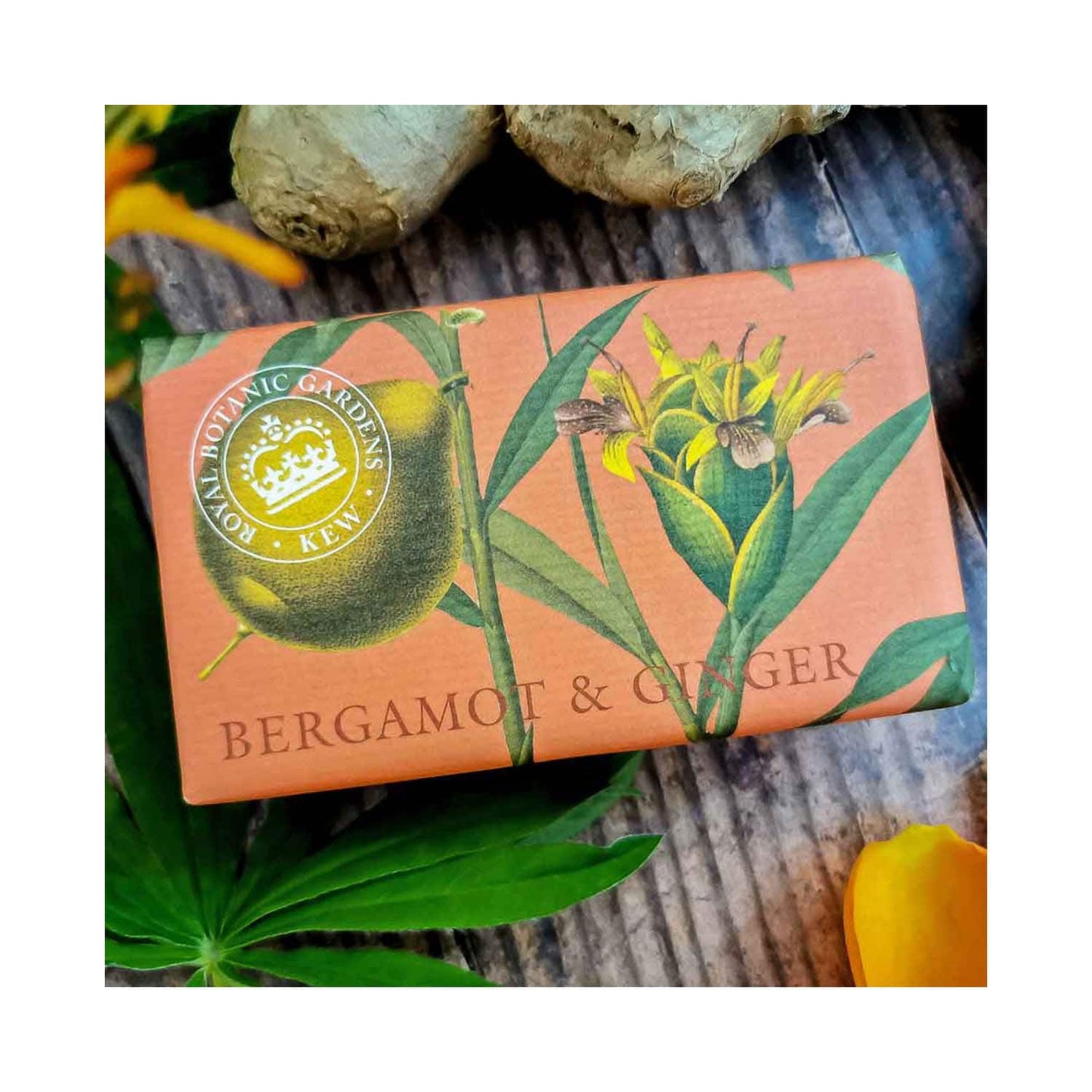 The English Soap Company Royal Botanic Gardens Kew Bergamot & Ginger Soap (240g)