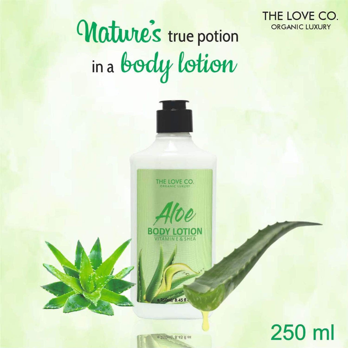 THE LOVE CO. Aloe Vera Body Lotion (250ml)