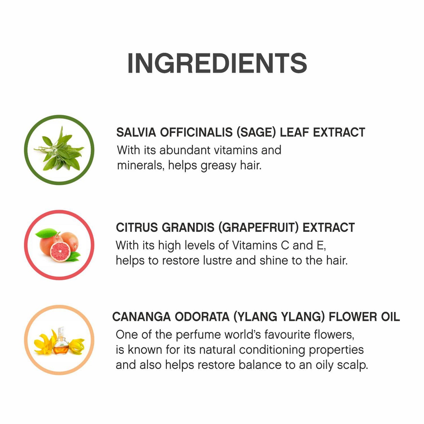 Kevin Murphy Balancing Wash Strengthening Shampoo (40ml)