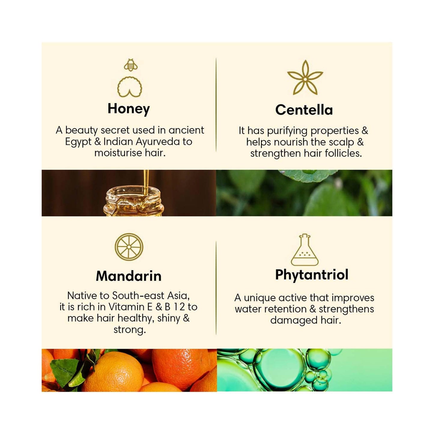 The Earth Collective Hair Cleanser For Dry & Damaged (200 ml)