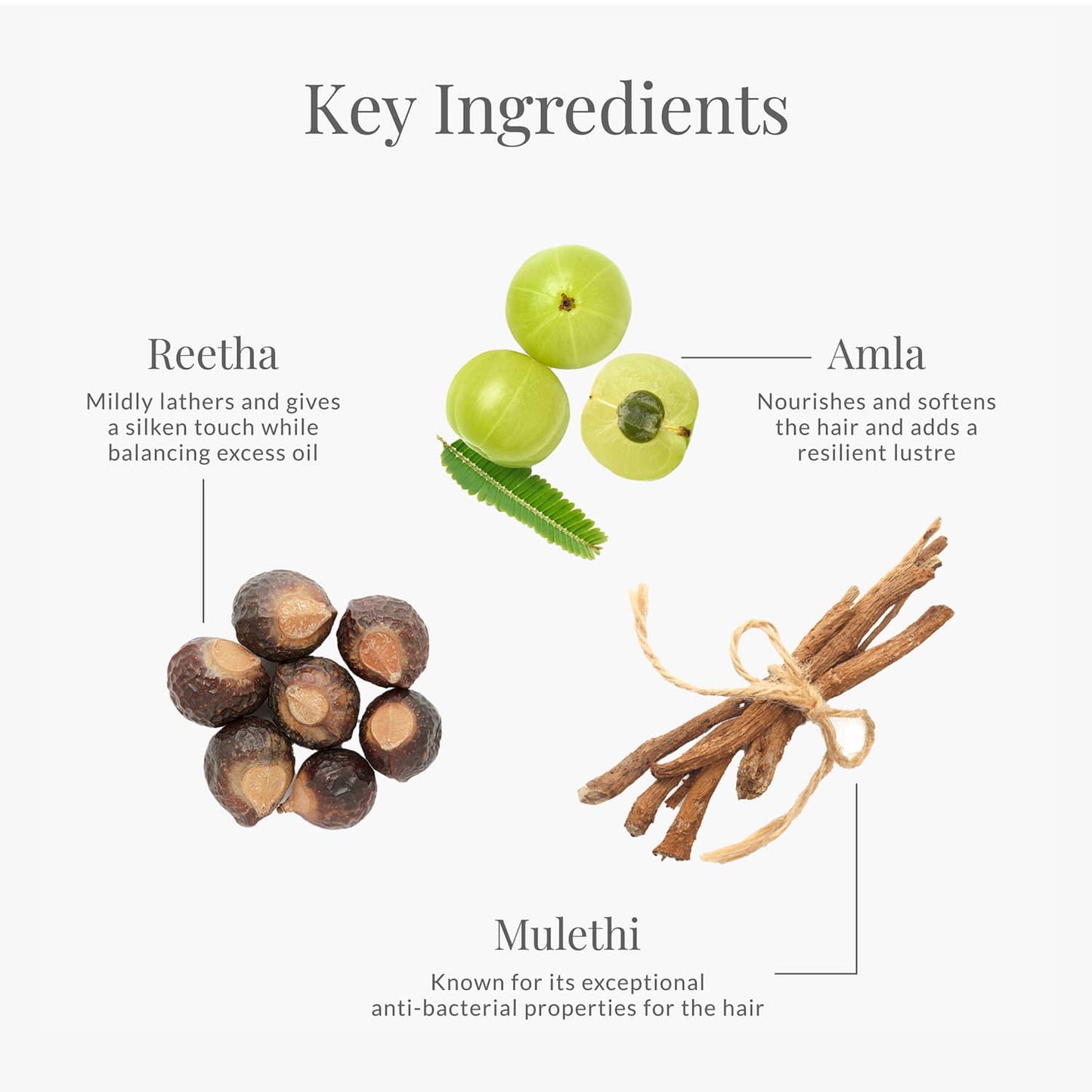 Forest Essentials Amla Honey & Mulethi Hair Cleanser Shampoo (50 ml)