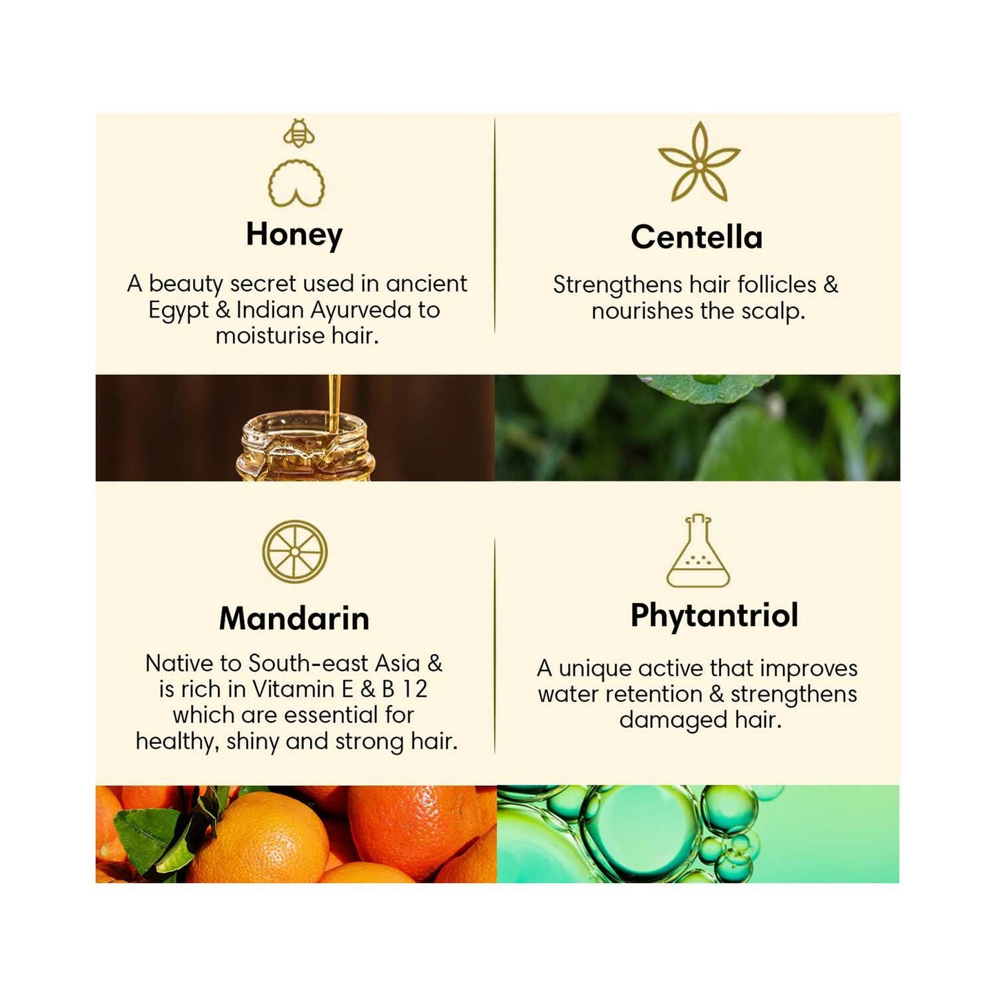 The Earth Collective Hair Conditioner For Dry & Damaged Hair (200 ml)