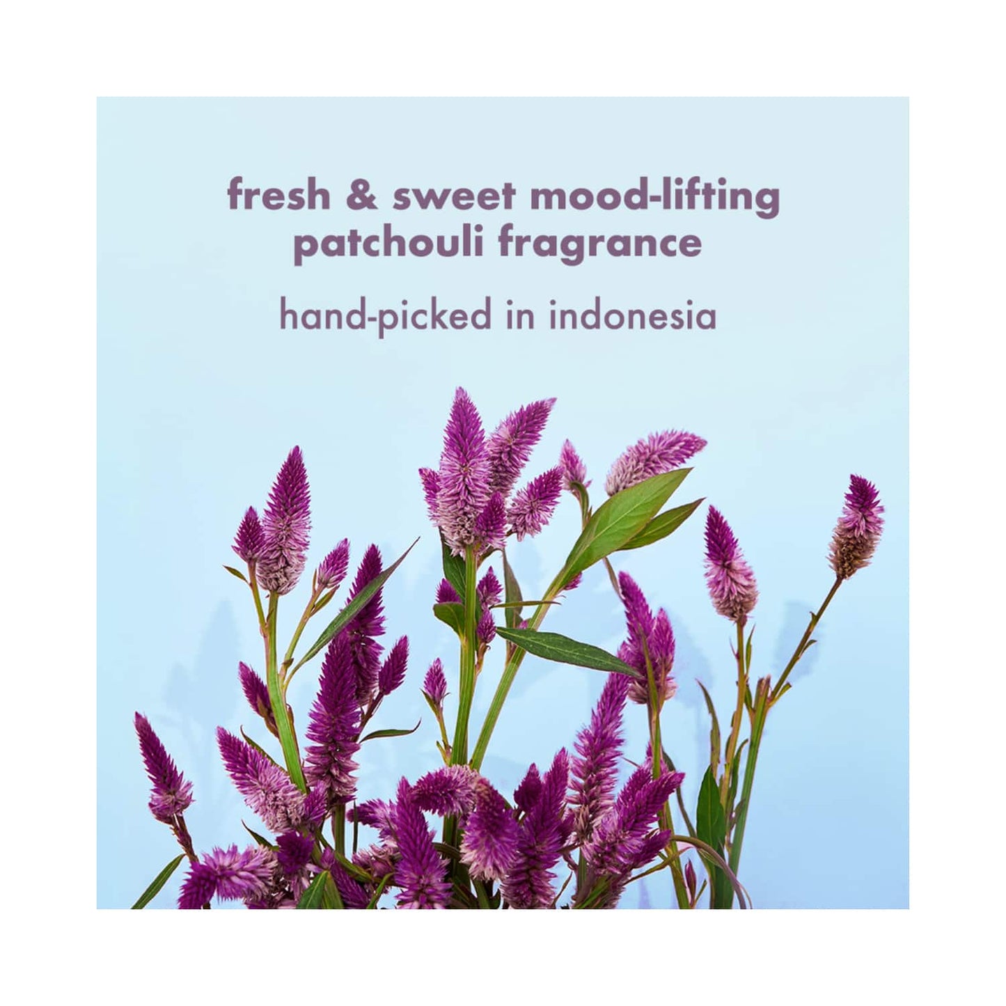 Love Beauty & Planet Onion Black Seed & Patchouli Hair Fall Control Sulphate Free Shampoo (200 ml)