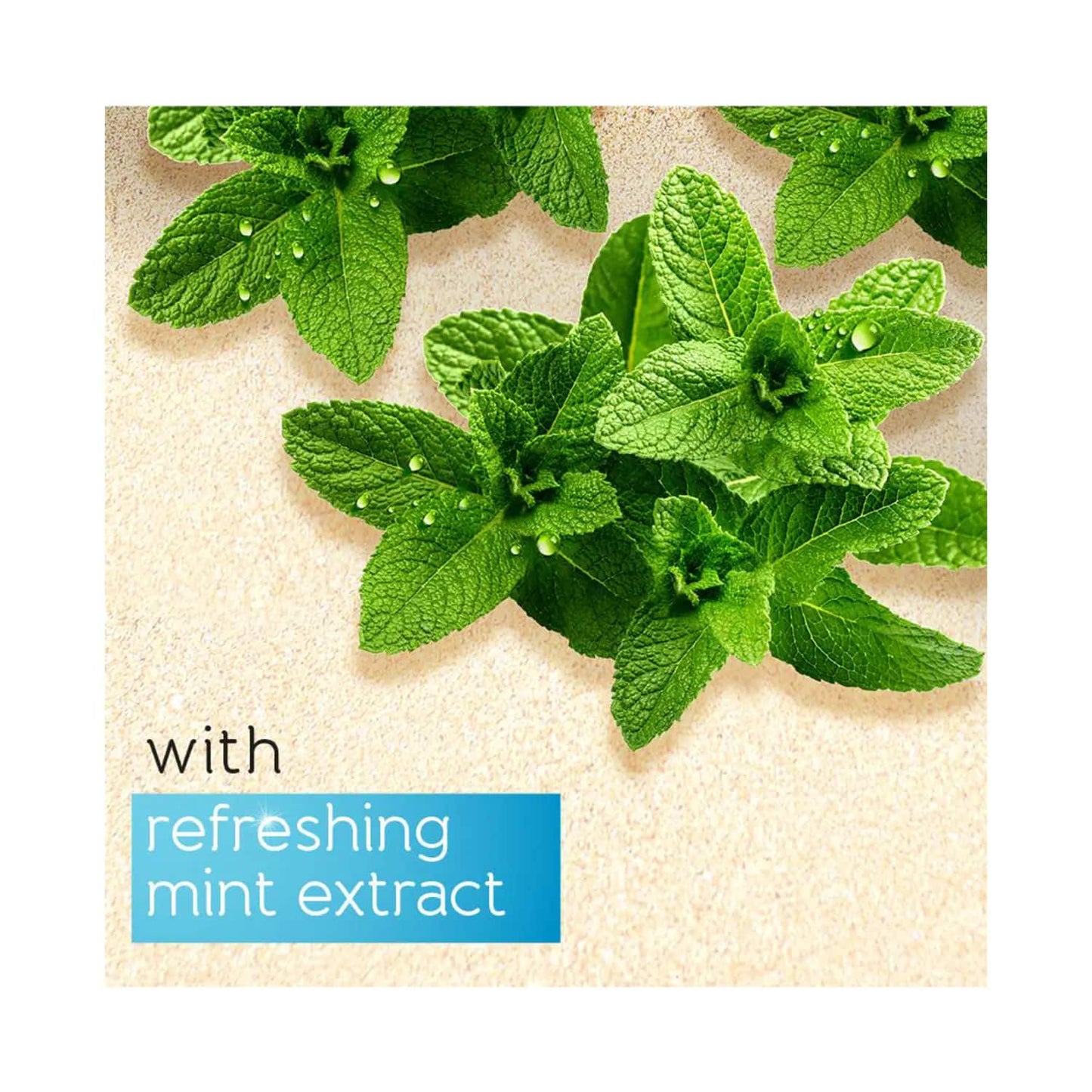 Pears Soft and Fresh Body Wash (750ml)