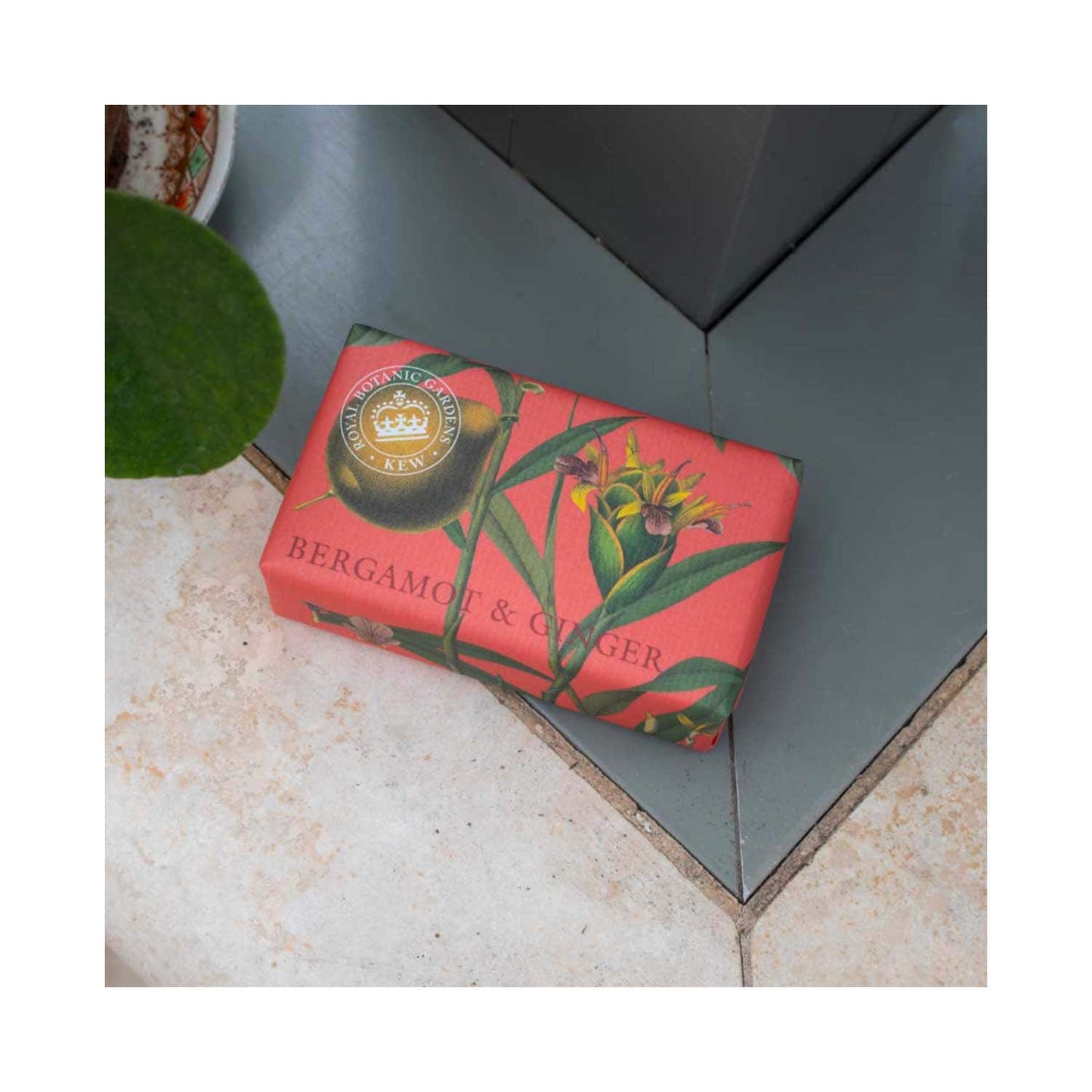 The English Soap Company Royal Botanic Gardens Kew Bergamot & Ginger Soap (240g)