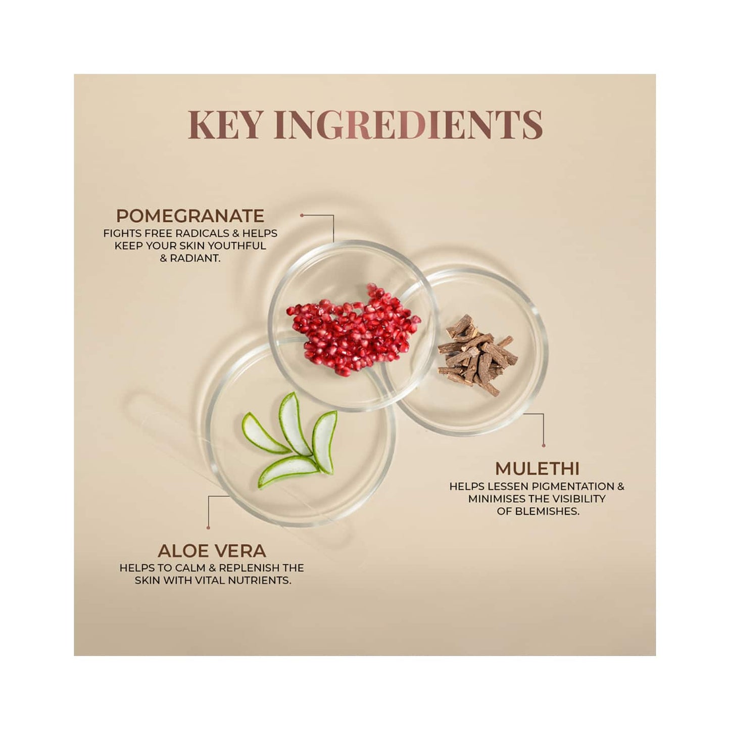 Just Herbs Tinted Sunscreen With SPF 50+ PA+++ (30ml)