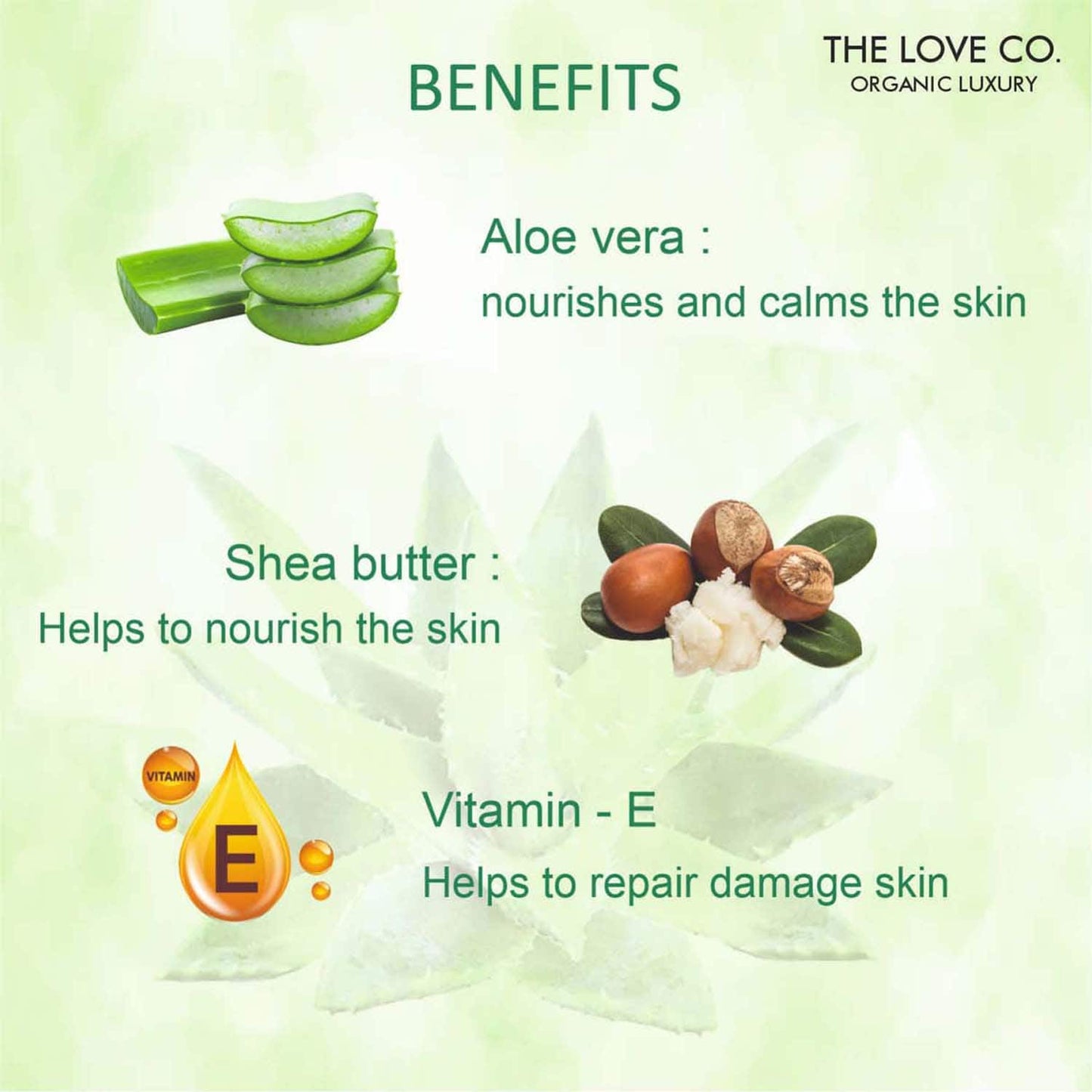 THE LOVE CO. Aloe Vera Body Lotion (250ml)