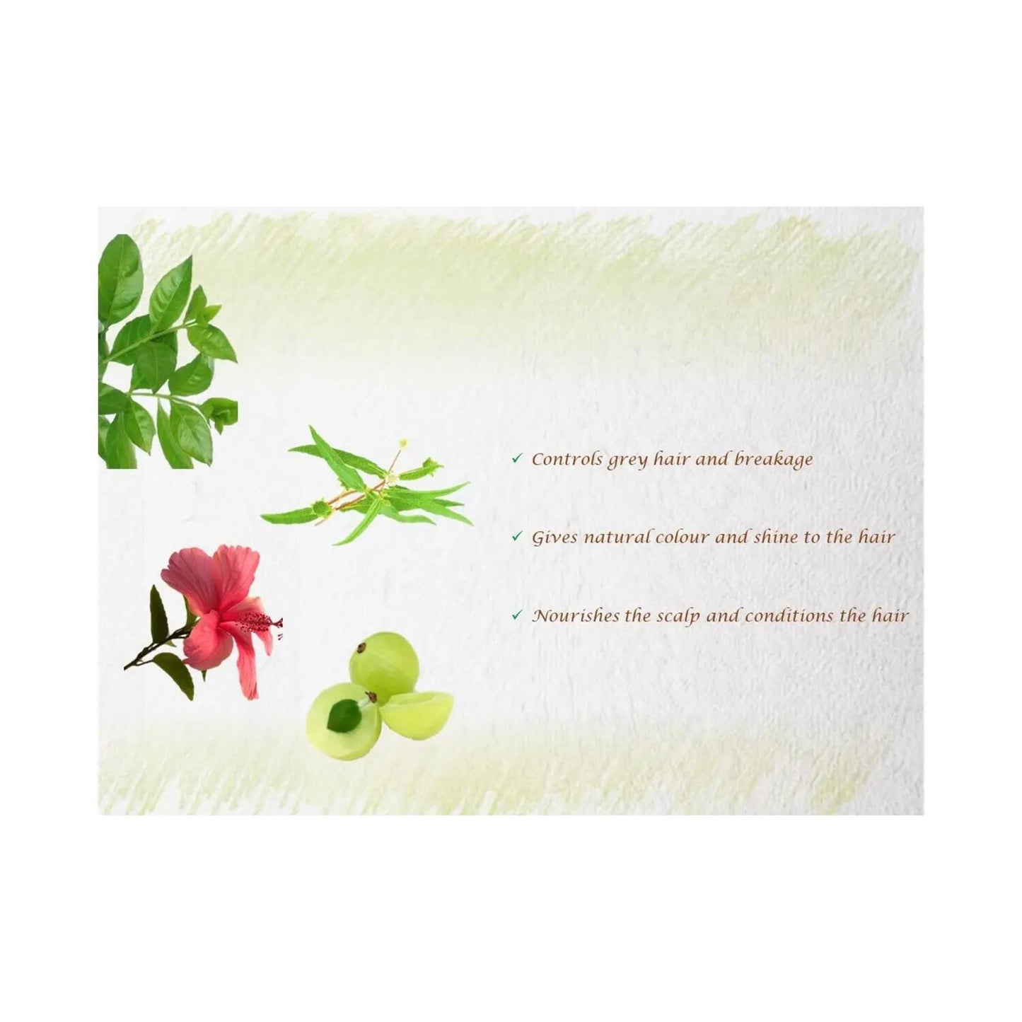 Precious & Nature's Certified Organic Henna Powder (100g)