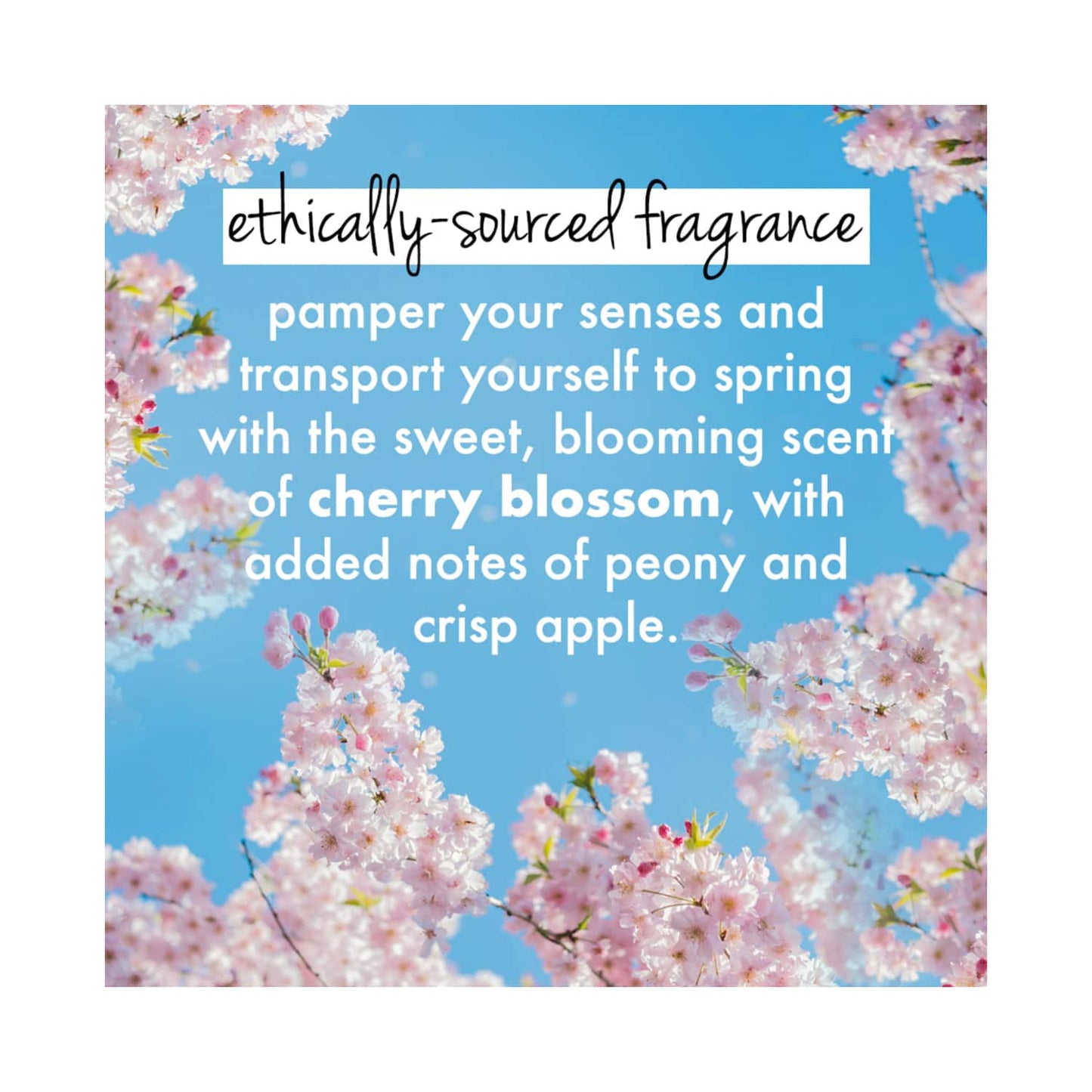 Love Beauty & Planet Cherry Blossom & Tea Rose Moisturising Body Wash for Soft Skin (200 ml)