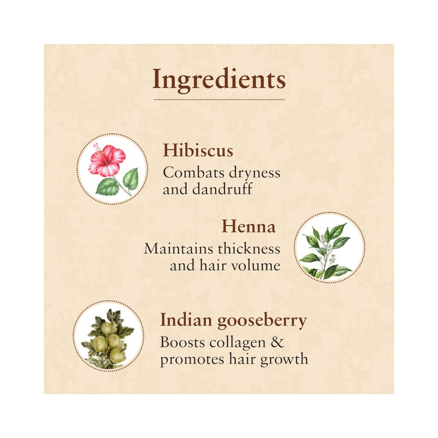 Just Herbs Javakusum Anti Dandruff & Hairfall Control Hair Oil (200ml)