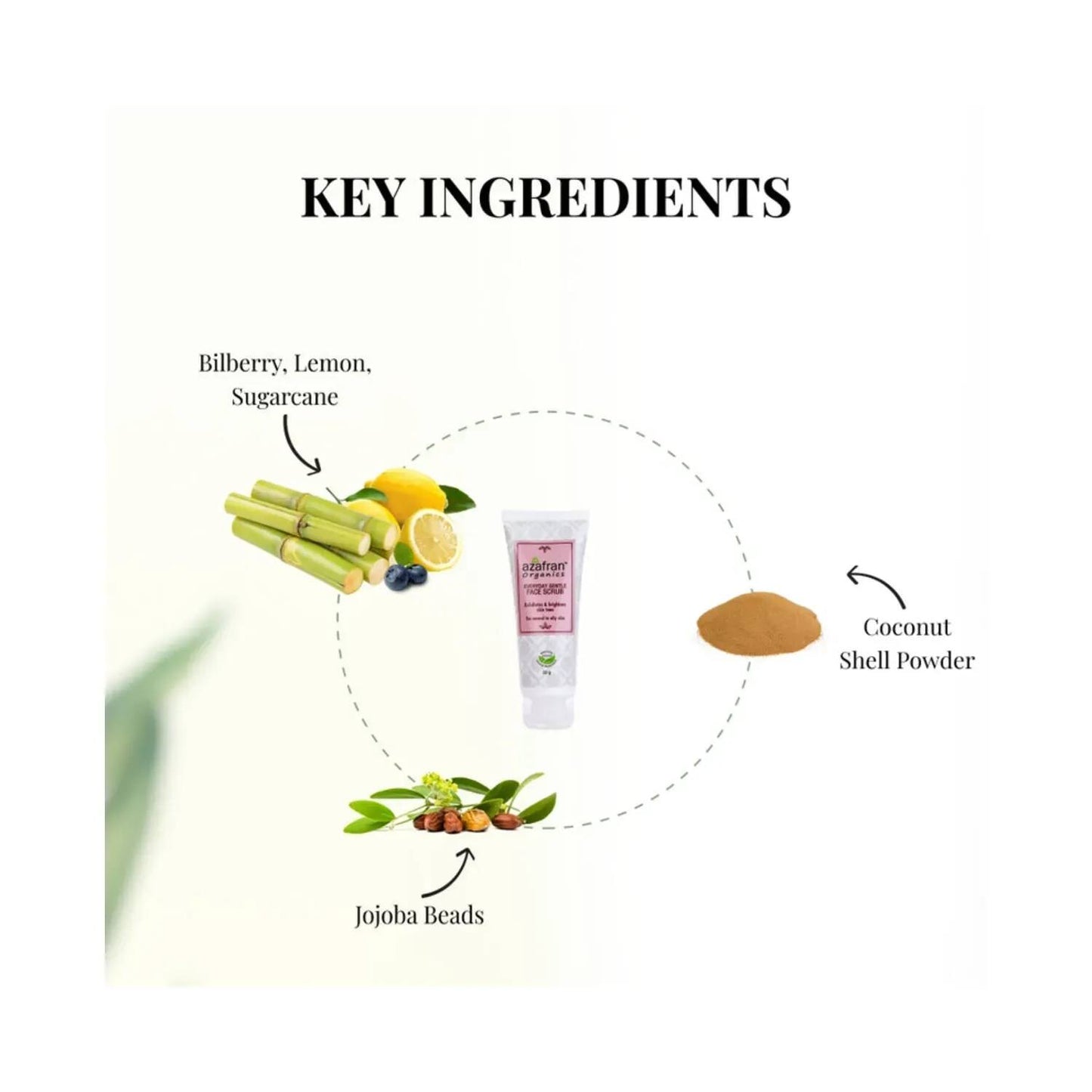 Azafran Organics Everyday Gentle Face Scrub (50g)