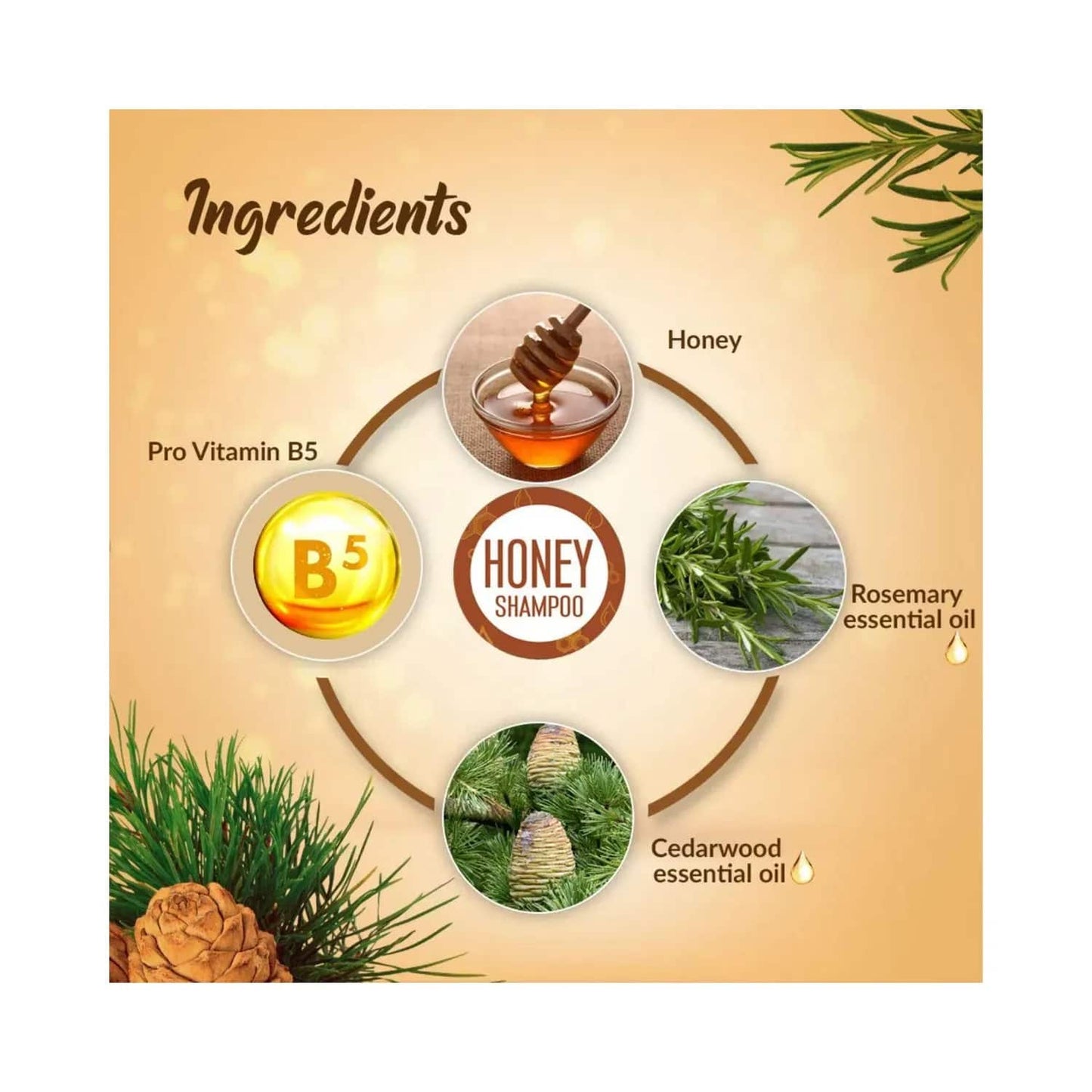 Keya Seth Aromatherapy Moisture Boost Shampoo (200ml)