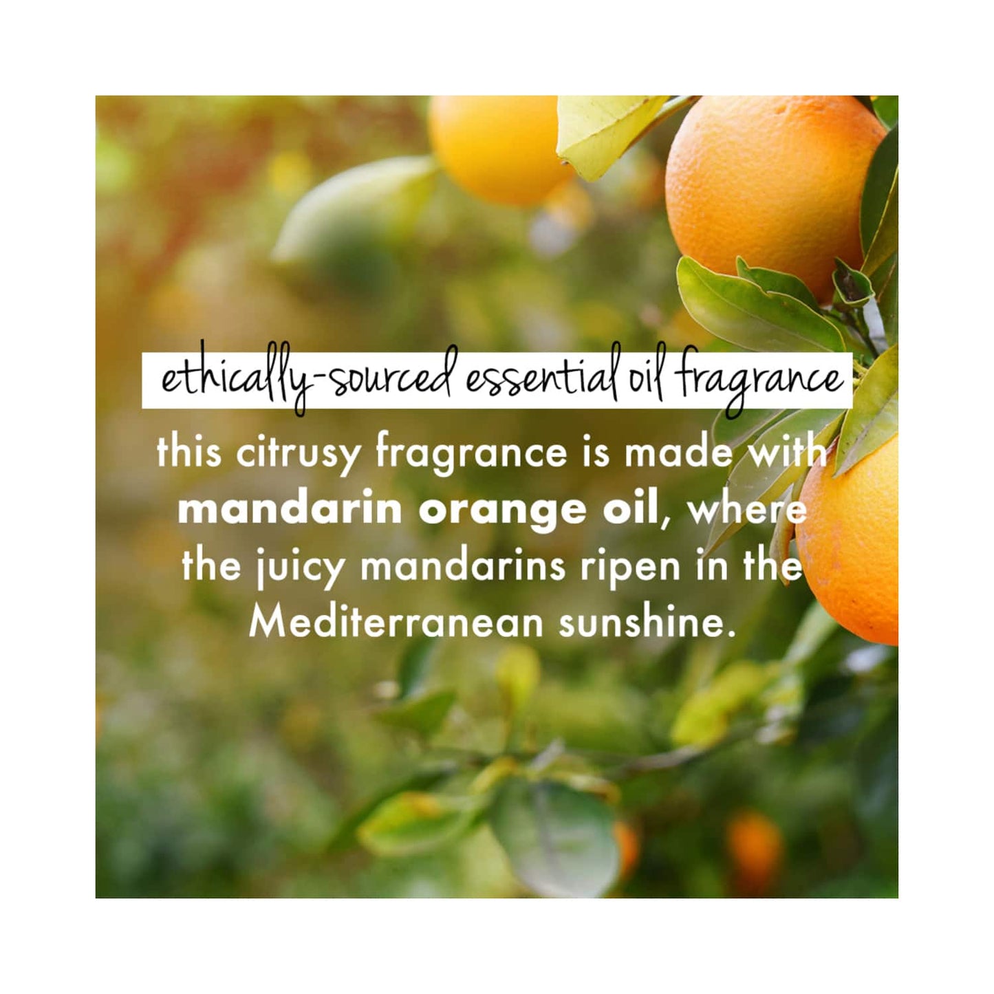 Love Beauty & Planet Curry Leaves & Biotin Sulpate Free Shampoo for Length and Strength (400 ml)