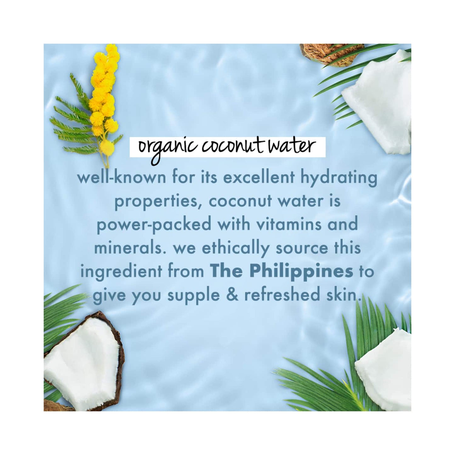 Love Beauty & Planet Coconut Water & Mimosa Flower Hydrating Body Lotion (190 ml)